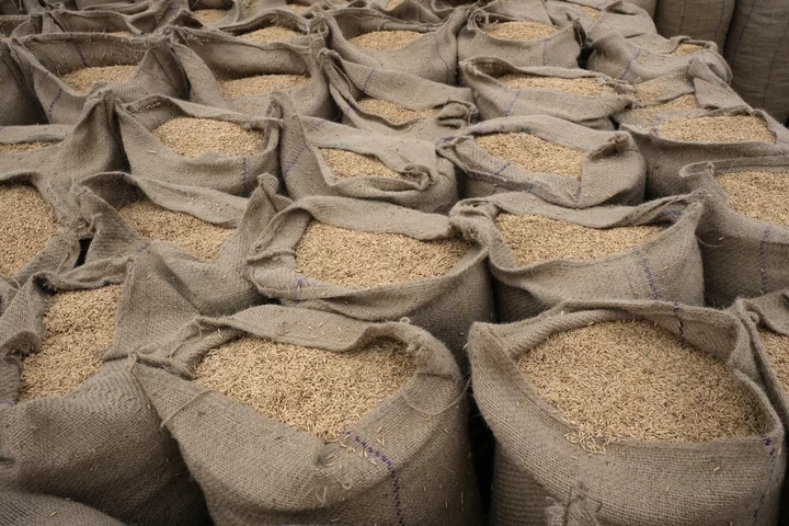 India Considers Banning Most Rice Exports as Local Prices Surge