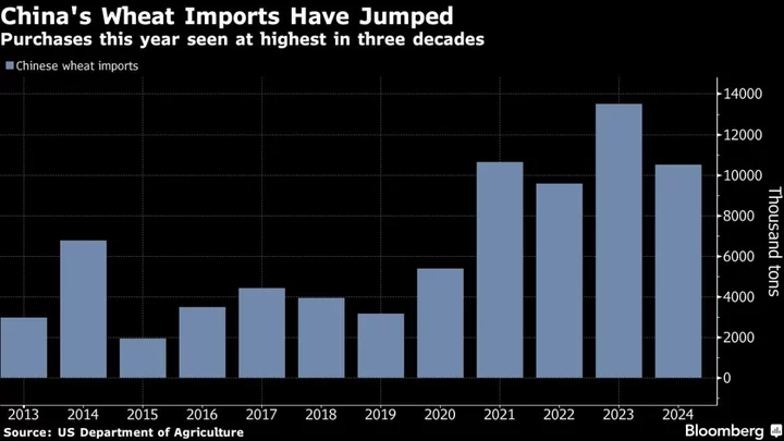 China Will Feed More Wheat to Animals After Rain Damages Crop