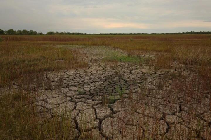 Disasters cause $3.8 tn in crop loses over 30 years: FAO