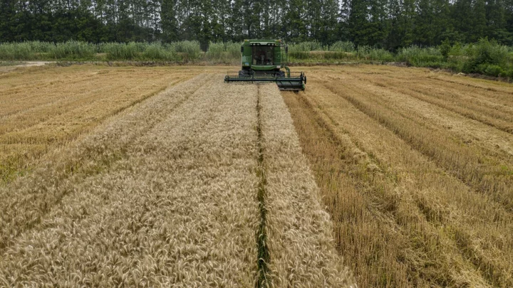 Wild Weather in China Poses New Threat to Country’s Grain Crops