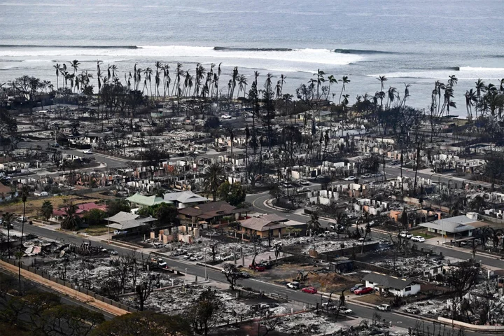 How the Maui Wildfires Became So Destructive, So Fast