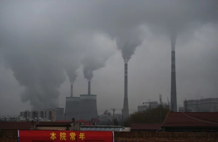 G20 per capita coal emissions growing: research