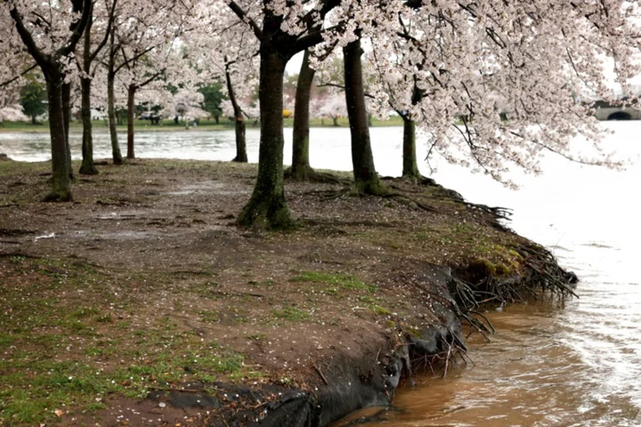 Living near green space makes you 2.5 years younger: study