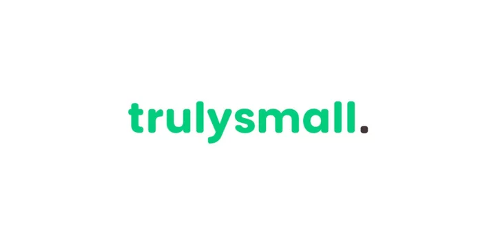 TrulySmall Accounting Review