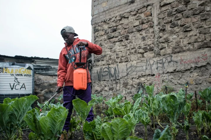 Deadly booze brings profit and pain to Kenya's streets