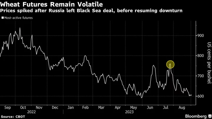 Putin, Erdogan Talks End Without Reviving Ukraine Grain Deal