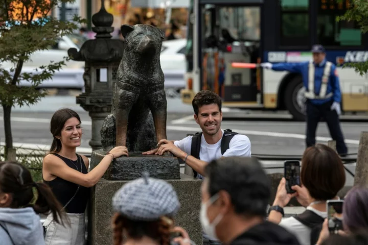 Japan's ever-faithful dog turns 100