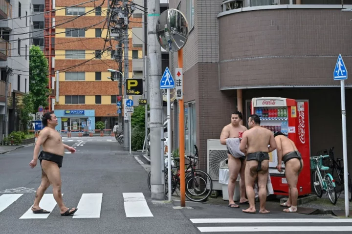 Renewed interest in sumo proves big pull for tourists