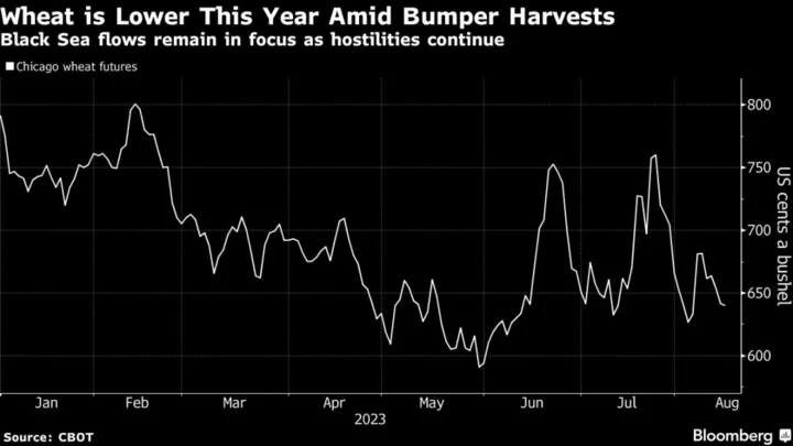 Wheat Falls for Third Day as Black Sea Shipments Continue