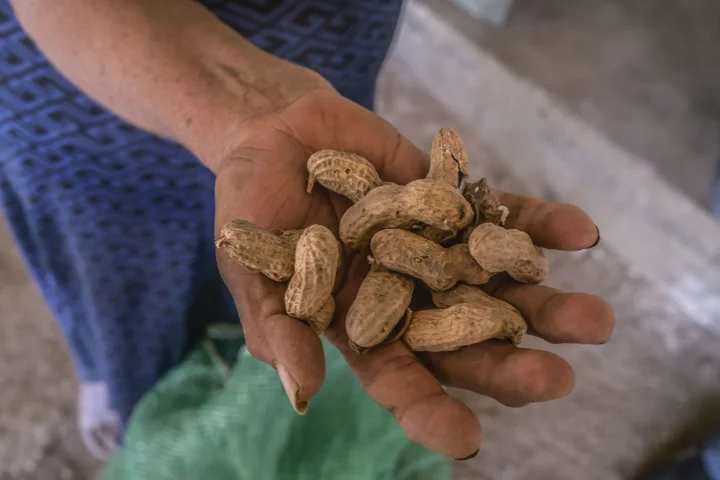 Skin Patch Helps Ease Peanut Allergy Symptoms in Toddlers